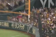 【GIF】巨人亀井、超スーパープレーwwwwww