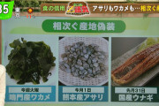 【定期】中国産のイカを青森県産として産地偽装して販売したスーパー、物凄い言い訳で乗り切ろうとするｗｗｗｗｗｗｗｗｗｗｗ