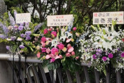 【乃木坂46】藤巻亮太さん、たった1度仕事しただけなのにしっかりスタンド花出してくれてていい人すぎる！