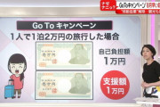 GoToで旅行するような奴ってなんで1年ぐらい待てないの？