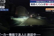 【新潟】突然イノシシが車へ体当たり…5頭が列をなして現れる