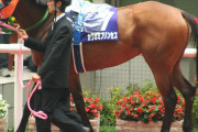 【競馬】（訃報）2006年牝馬2冠のカワカミプリンセスが死す、20歳…