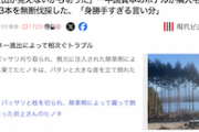 【大陸感覚】中国資本ホテル「お隣さんのヒノキで富士山が見えないなぁ…せや！」→