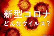 【悲報】第８波のコロナ…“史上最悪の流行”になる恐れ。。