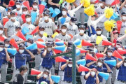 【賛否】ベンチに入れずスタンドで応援、大量の補欠を生む『甲子園』こそが野球離れの原因では？