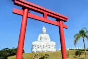 奈良の２倍の大仏がブラジルに出現。副住職「こんな大きな大仏が出来るとは」