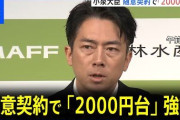 【期待してええんか？】ホリエモン「小泉進次郎はめちゃくちゃ期待できる」「結構まともなことを言ってる」