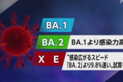 【悲報】最強最悪の強毒性コロナ変異種、ケンタウルスが日本に上陸　統一教会自民党はどーすんのこれ?