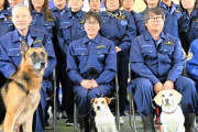 警察犬デビューするシェパード、ちょっぴり不安？しがみつく様子に「緊張してる」「頑張って」の声