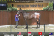 【セレクションセール2024】キズナ産駒1歳馬に1億円の落札