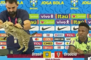 猫ちゃん、ブラジル代表の記者会見に乱入し投げ飛ばされる
