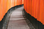 大量の観光客がいない静かな京都はもう戻ってこないんかな…  [9/1]