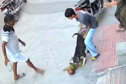 【動画】ピットブルに襲われた赤ちゃんが重傷を負った事故(´･_･`)