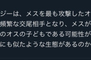 【悲報】識者「チンパンジーはメスを最も攻撃したオスがそのメスの最も頻繁な交尾の相手になる」