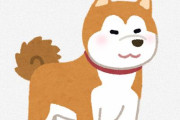 「犬はテレビ画面に映る別の犬を見るのが大好き」という研究結果