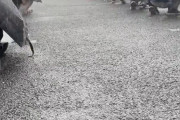 コミケ、豪雨で大惨事に