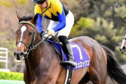有馬記念８着ヴェロックスは川田騎手で小倉大賞典へ
