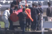 【くま】福井市の商業地にクマ。設置された檻に自ら入り捕獲される