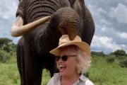 「ゾウが女性にドッキリを仕掛けている…なんて賢いんだ！」帽子を盗んだ後の行動に注目