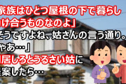 姑「家族はひとつ屋根の下で暮らし助け合うものなのよ」私「そうですよね、姑さんの言う通り。じゃあ…」同居しろとうるさい姑に『家族』での同居を提案したら…