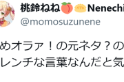 【ホロライブ】ねねち、気付きを得る