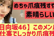 【日向坂】●●が外仕事でガッツリ爪痕を残す事に成功ww