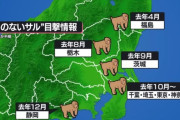 きょう試合開催の埼スタ周辺でサルの目撃情報あり　不用意に近づかないよう注意