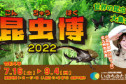 【HKT48】小田彩加、『昆虫博2022』のアンバサダーに就任！