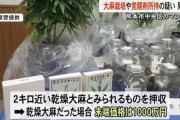 【熊本】「大麻の臭いがする...」と通報された男(43)を大麻栽培容疑で逮捕