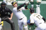 ええやん！阪神・森下、実戦形式フリー打撃で6打数4安打！！153キロを右中間二塁打