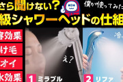 【Amazon】中国企業さん「1000円のシャワーヘッドを6万円に設定」日本人「うわぁ」中国「そこから3000円に値下げすると95%OFF」日本人「買います！買います！」←これ?