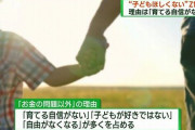 【悲報】政府「頼むから子供生んでくれ」Z世代「育てる自信がないからいらない」