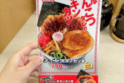 【画像】かつやの新メニュー、これは美味しそう！