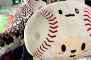 【悲報】侍ジャパン公式マスコットたまべヱ、消える