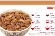 オレ「牛丼並盛。ご飯少なめでね」店員「はい」