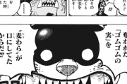 【ワンピース】ゴムゴムの実、実は政府が目をつける凄い実だったｗｗｗｗ