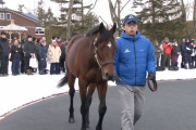 青本、岡田牧雄の新種牡馬評価