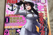 【艦これ】艦これの攻略本がもし出るなら8000円ぐらいならポンと出すぜ