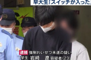 【悲報】早稲田のイケメン大学生、ヤる気スイッチが入ってしまい逮捕