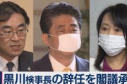 パヨクのせいで定年法案吹っ飛んだね。今どんな気持ち？　～　パヨ「安倍が逮捕されないために黒川を～」　→あっさり法案見送り、あっさり黒川辞任　どういう事？