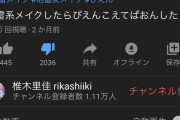 【速報】椎木里香さん「ぴえん越えてぱおんした」