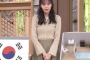 韓国人「日本メディアの視聴者に伝える能力に韓国から驚きの声」→「なぜ日本ではあんなに優しく説明するんですか？」