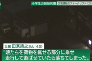 【悲報】現場猫、6歳の女の子を殺してしまうｗｗｗｗｗｗｗｗｗｗｗ