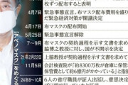 約500億円を投じた“アベノマスク”契約経緯めぐる文書の不開示決定を｢取り消し｣命じる判決