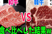 韓国人「韓牛ほどコスパの悪い食べ物はありません！」「賞味期限切れのお菓子やパンを食べさせてるらしいよ…」