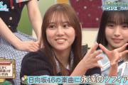 竹内希来里がYouTubeで裏社会について学ぶ【日向坂で会いましょう】【日向坂46】