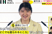 【朗報】愛子様、いつの間にか魅力的になられる。