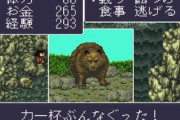 川のぬし釣りという素手でクマをボコるゲーム