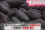 【買うなら今のうち】チョコレートが凄まじい値上げになる事が確定　カカオ豆の価格が大暴騰中