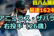 日ハム新助っ人ザバラ、最速162km(平均99マイル)奪三振率14.12←ヤバいだろこれ